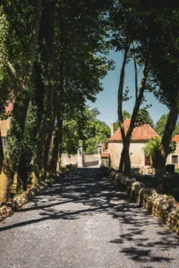 Chemin ombragé menant à une maison en pierre.