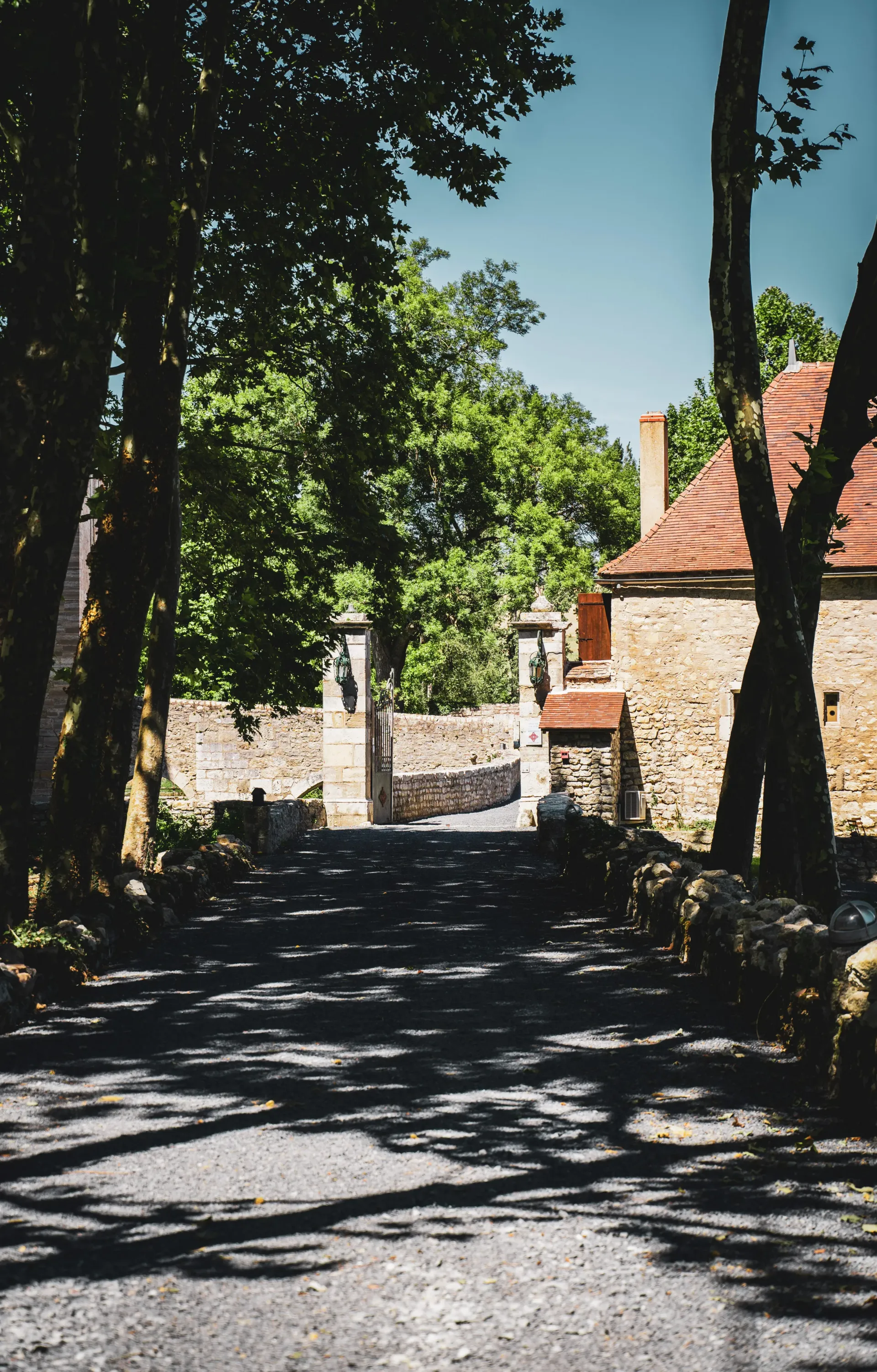 Allée ombragée vers portail en pierre ancienne.