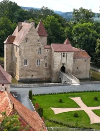 Château médiéval entouré de verdure et douves.