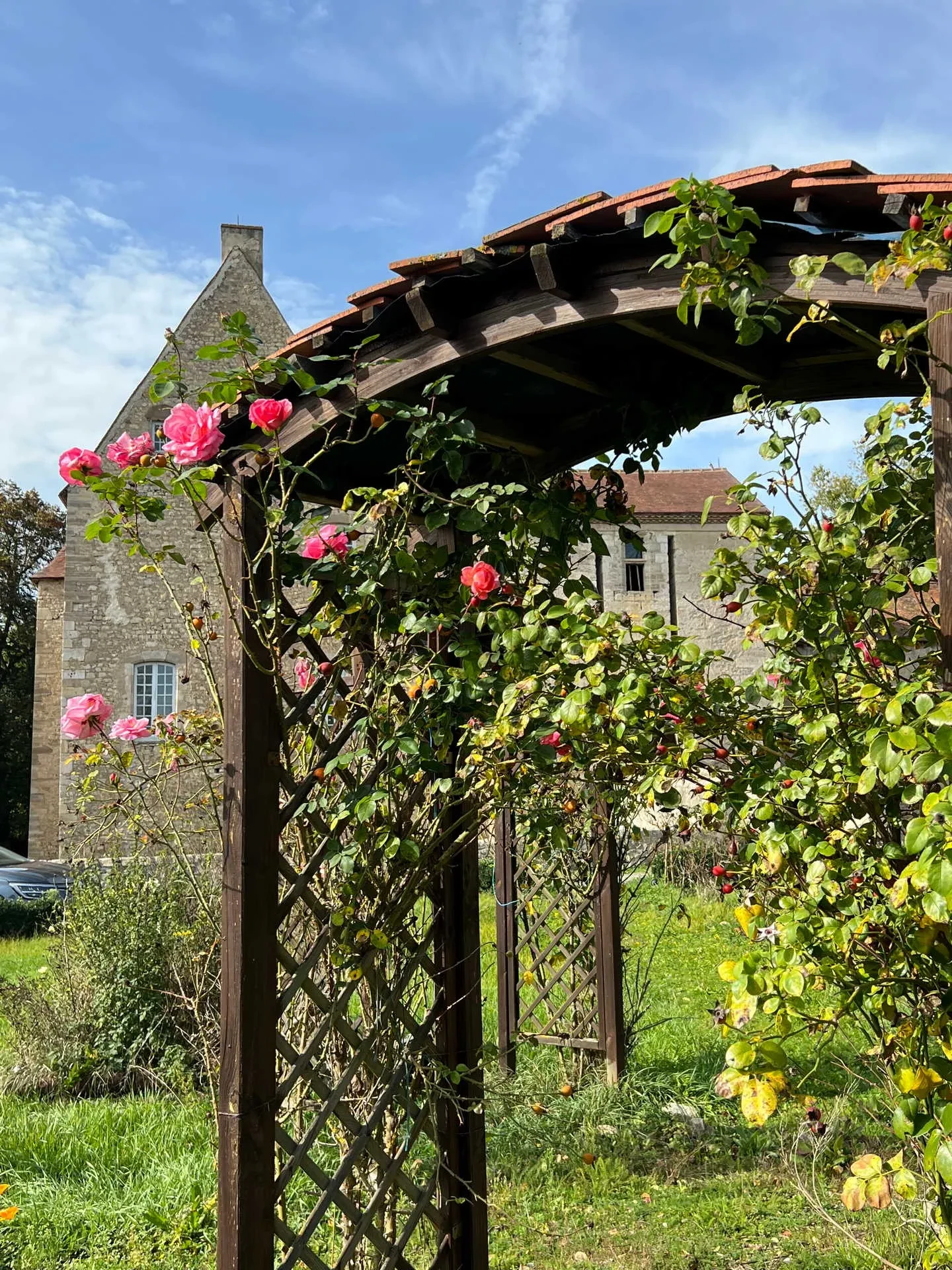 Roses fleuries sur arche en bois devant bâtiment ancien.